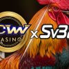 SV388 và MCW Casino hợp tác như thế nào?