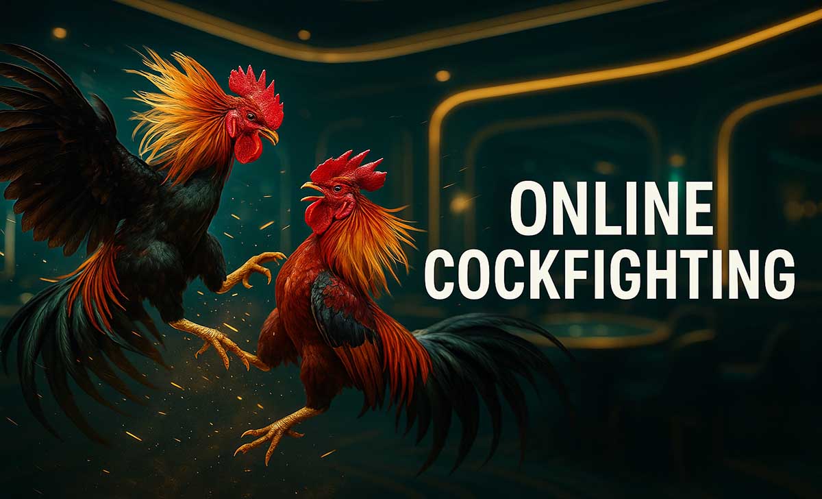 Đá gà mạng có hợp pháp không?