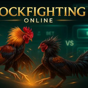 Đá gà mạng là gì?