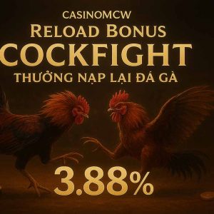 Hoàn Tiền 3.88% Hàng Tuần Tại Đá Gà - Ưu Đãi Siêu Hấp Dẫn